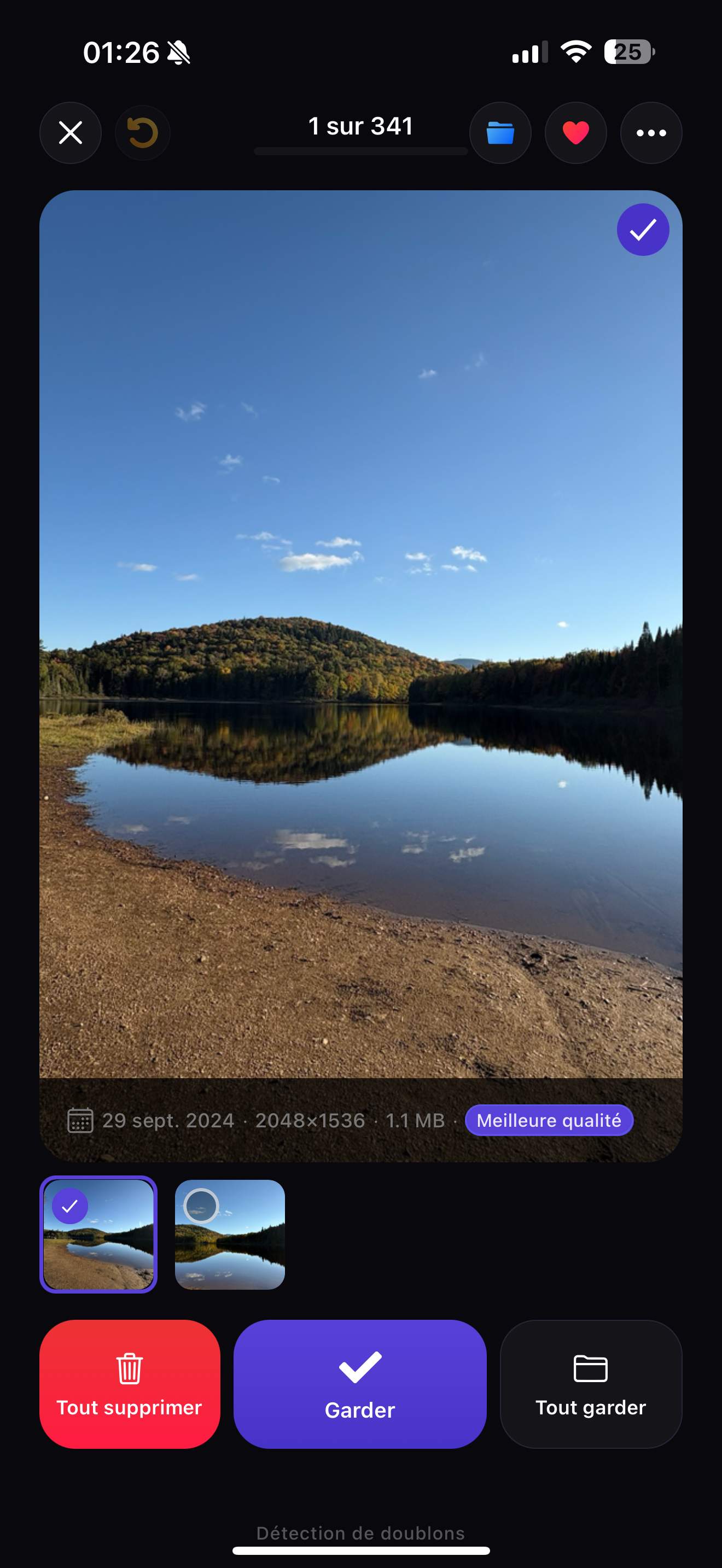 Duplicate detection